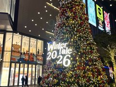 -东莞松山湖万象汇