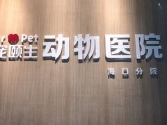 -宠颐生动物医院·猫科·心脏科(海口分院)