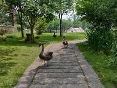 -长兴太湖图影湿地文化园