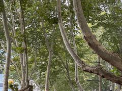 -西安电影制片厂