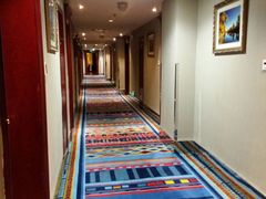 -丝路天山酒店(国际大巴扎店)