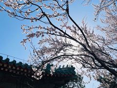 -颐和园