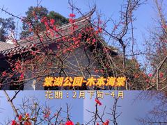 -棠湖公园