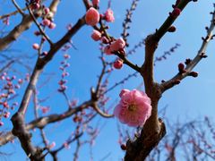 景点-北京明城墙遗址公园