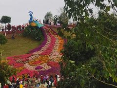 -东莞植物园