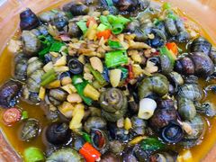 -全乐鱼馆·淳牌有机鱼直营店