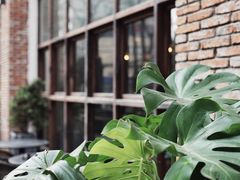 -VESH COFFEE(定西路店)