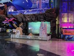 -烟台海昌鲸鲨海洋公园