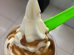 -Salud撒露欧洲冻酸奶(五道口购物中心店)