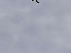 -春花秋色城市公园