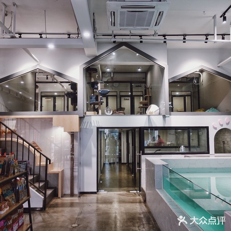 七宝附近一家玩乐美容一应俱全宠物酒店