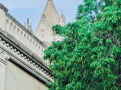 -厦门市鼓浪屿风景名胜区-天主教堂