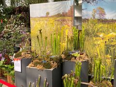 -北京植物园-展览温室