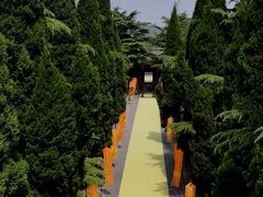 -函谷关历史文化旅游区