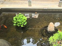 -野蔓果·山野菜(西湖景区·龙井茶田店)