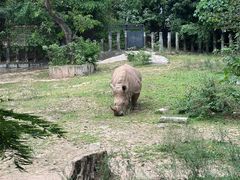 -深圳野生动物园