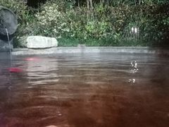 -杭州第一世界大酒店·云曼温泉