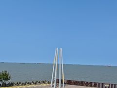 -上海滨江森林公园