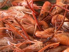 -蟹天蟹地农家菜·阳澄湖大闸蟹(浅水湾店)