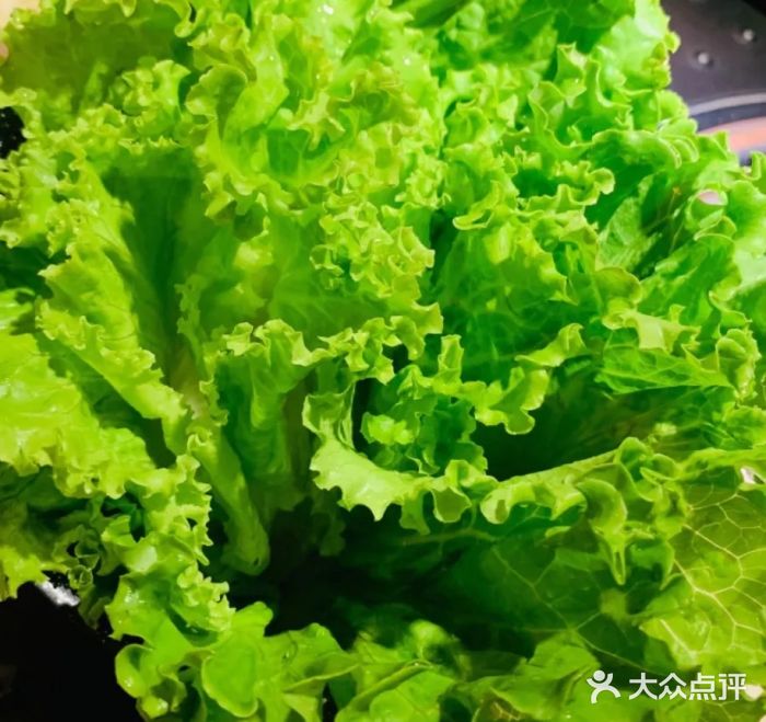 小牛哈尼韩式水煎肉(万象城店)生菜图片
