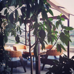 iphone_upload_pic-依莲SPA