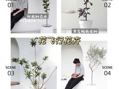 -研筑国际设计事务所(总店)