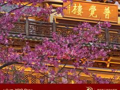 -大佛古寺
