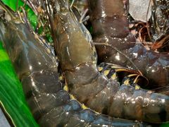 -千滋百味自助海鲜烤肉(布吉景华店)