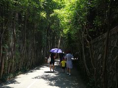 -青青世界
