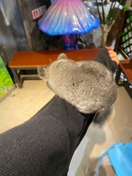 -酷嗒动物文化乐园(cutezoo西溪乐天城店)