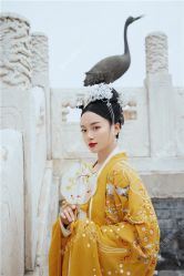 点击看大图 -美云庭古装·格格服汉服·京城旅拍(北京店)
