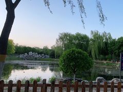 -东升八家郊野公园