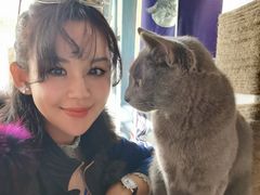 -喵屿·大理花园猫咖