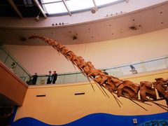 -陕西自然博物馆