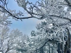 -洛阳白云山景区