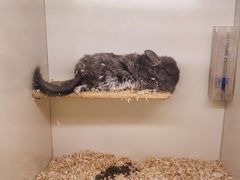 -龙猫仔乐园(惠福东路店)