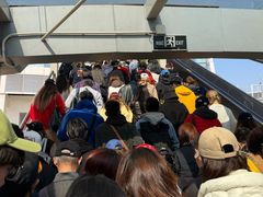 -国家会展中心上海洲际酒店