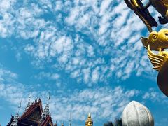 -曼听御花园