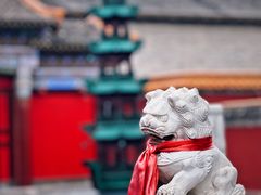 -大召无量寺