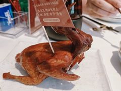 -侨美食家·41年地道粤菜(珠江新城店)
