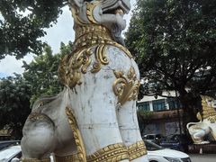 -云南勐巴娜西珍奇园