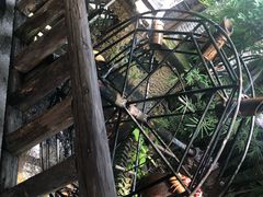 -园林美食城·本土农家菜(杨和镇店)