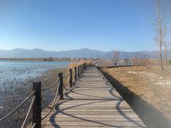 -野鸭湖国家湿地公园