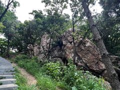 -沈阳辉山风景区