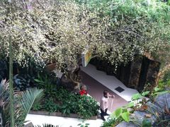 iphone_upload_pic-绿色时代大酒店