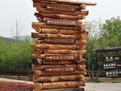 -北京西山国家森林公园