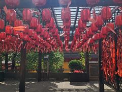 -会龙寺