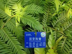 -国家植物园南园