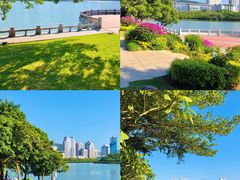 -白鹭洲公园