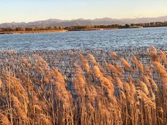 -野鸭湖国家湿地公园